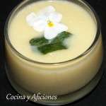 crema de esparragos blancosy ceboleltas 11
